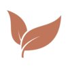 Vegan icon
